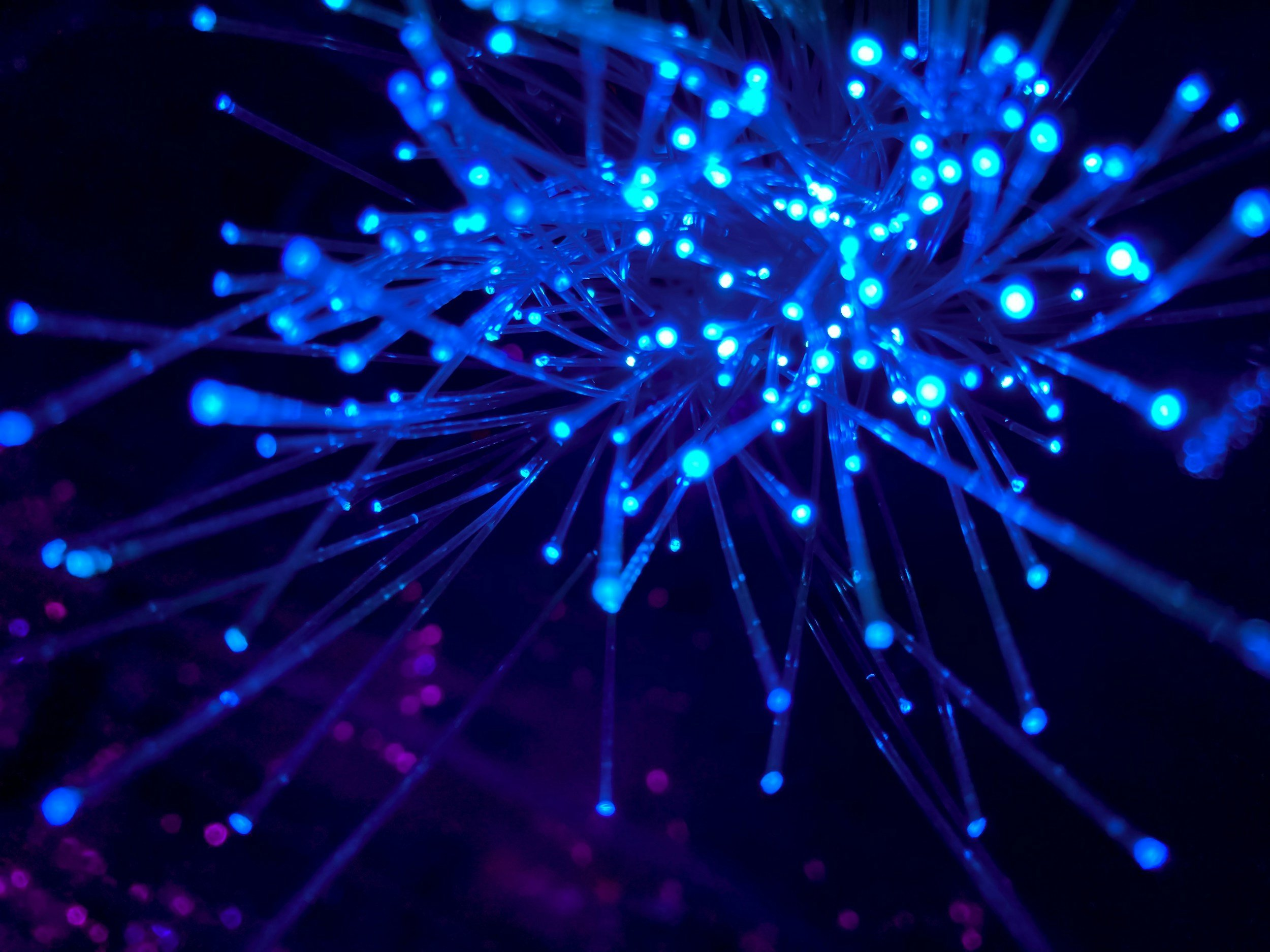 Ultra-High-Density Interconnect and Outdoor Fiber Cables